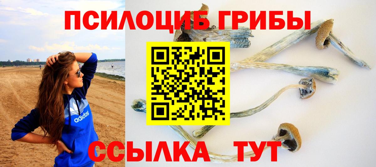 Галлюциногенные грибы Psilocybe  Белово  где продают   Псилоцибиновые грибы MAGIC MUSHROOMS 