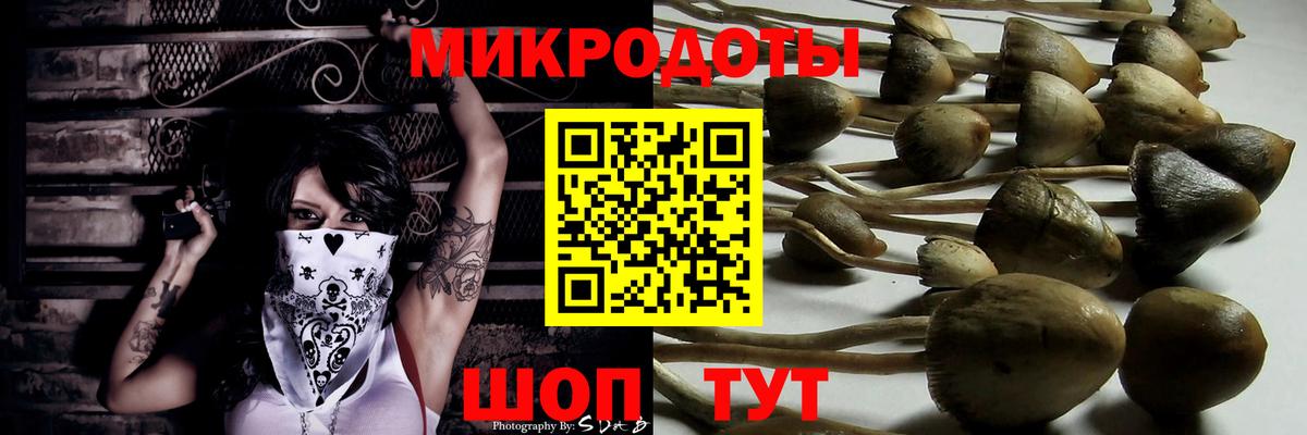 Галлюциногенные грибы Psilocybe Белово